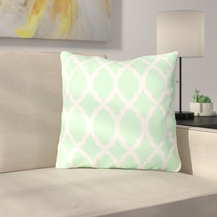 Throw Pillow